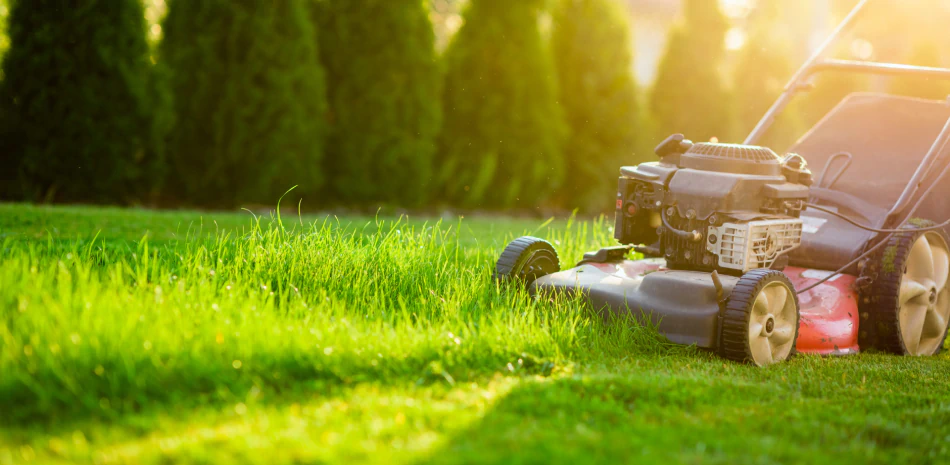 Lawn Maintenance Services
