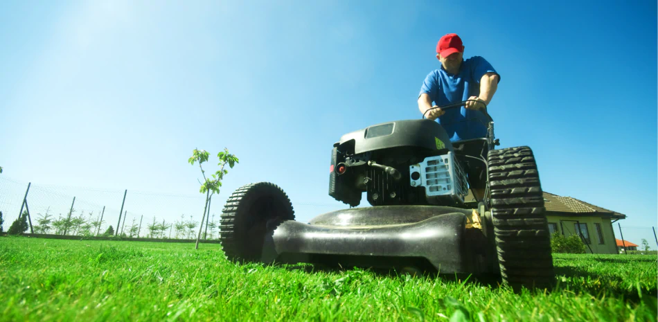 Top Dressing Services